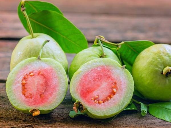 Mơ thấy quả ổi đánh con gì? Điềm báo giấc mơ tốt hay xấu