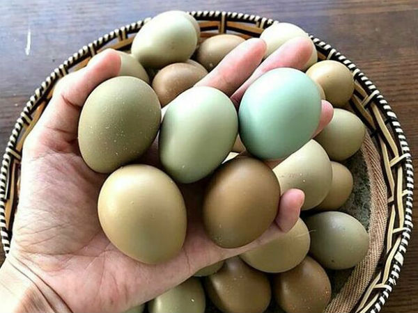 Nằm mơ thấy trứng chim