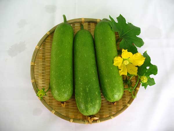 Mơ thấy quả bầu mang ý nghĩa gì?