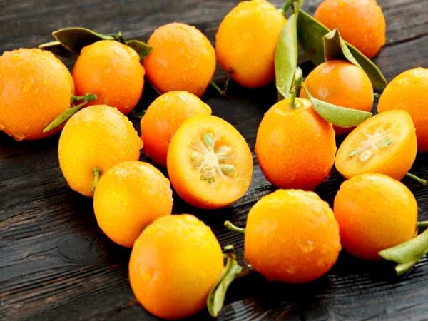 Nằm mơ thấy quả quất là điềm báo lành hay dữ?