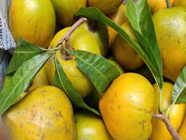 Mơ thấy quả trứng gà đánh con gì hốt bạc tỷ?