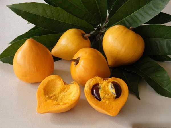 Mơ thấy quả trứng gà có ý nghĩa gì đặc biệt?