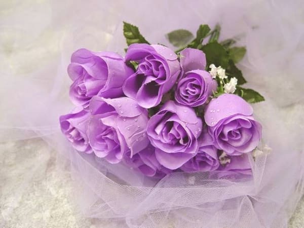 Trường hợp nhìn thấy một bó hoa hồng màu tím có ý nghĩa gì