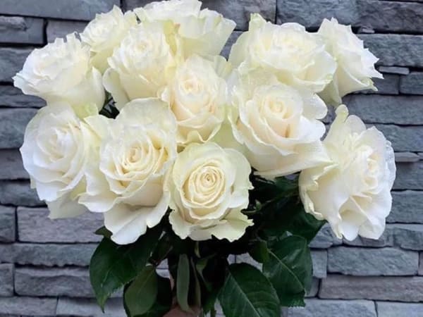 Nhìn thấy hoa hồng trắng số mấy