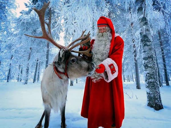 Nhìn thấy con tuần lộc cùng với ông già Noel