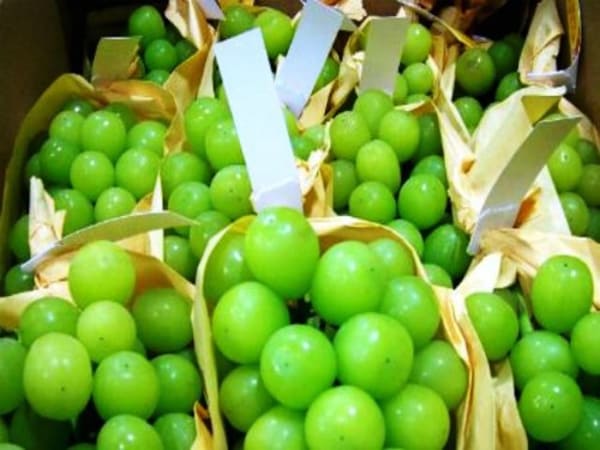 Thấy quả nho trong cửa hàng siêu thị