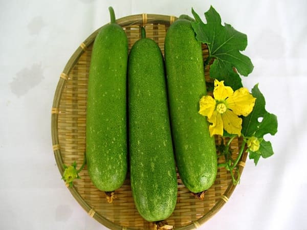 Trông thấy quả bí đao có ý nghĩa gì