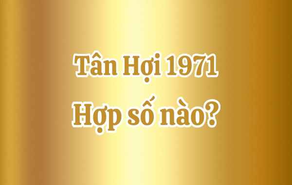 Tuổi tân hợi 1971 hợp số nào để thăng tiến vượt bậc?