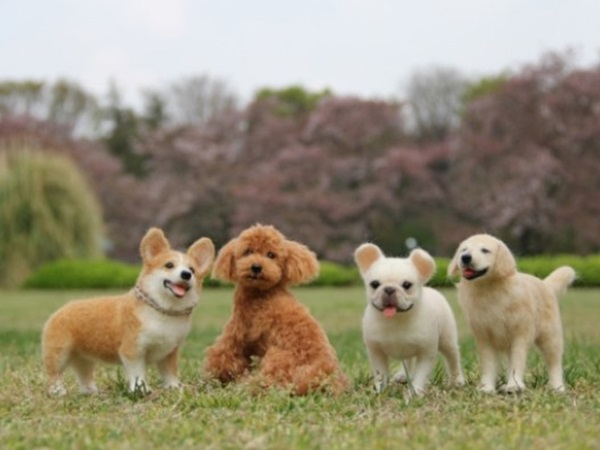 Nằm mơ thấy đàn chó con báo mộng điềm hên hay xui?