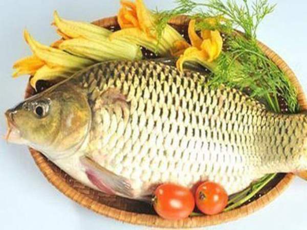 Mơ thấy cá chép con gì?