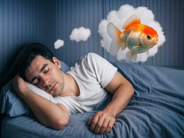 Nằm mơ thấy cá chết nhiều là điềm gì? Có số nào may mắn?