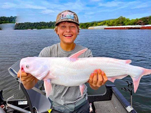 Ngủ mơ thấy cá trắng chết